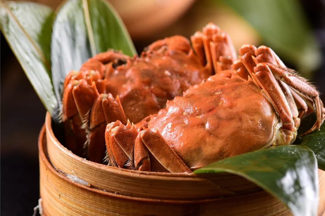 流口水预警！秋日大闸蟹的肥美，你准备好了吗？